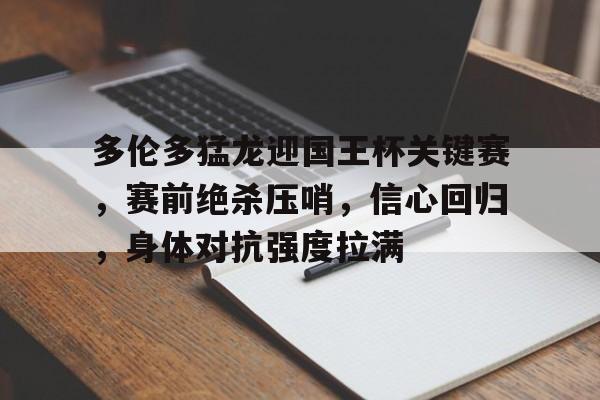 爱游戏官网-多伦多猛龙队现役